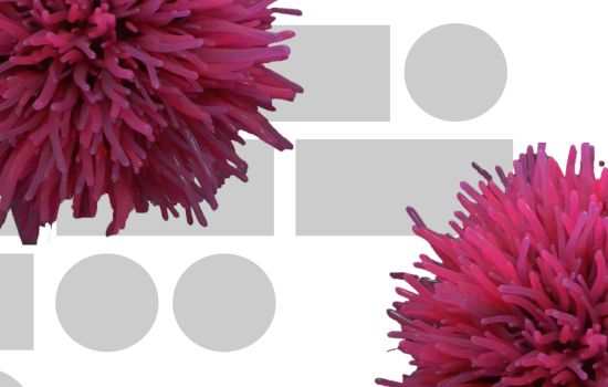 Бизнес как искусство