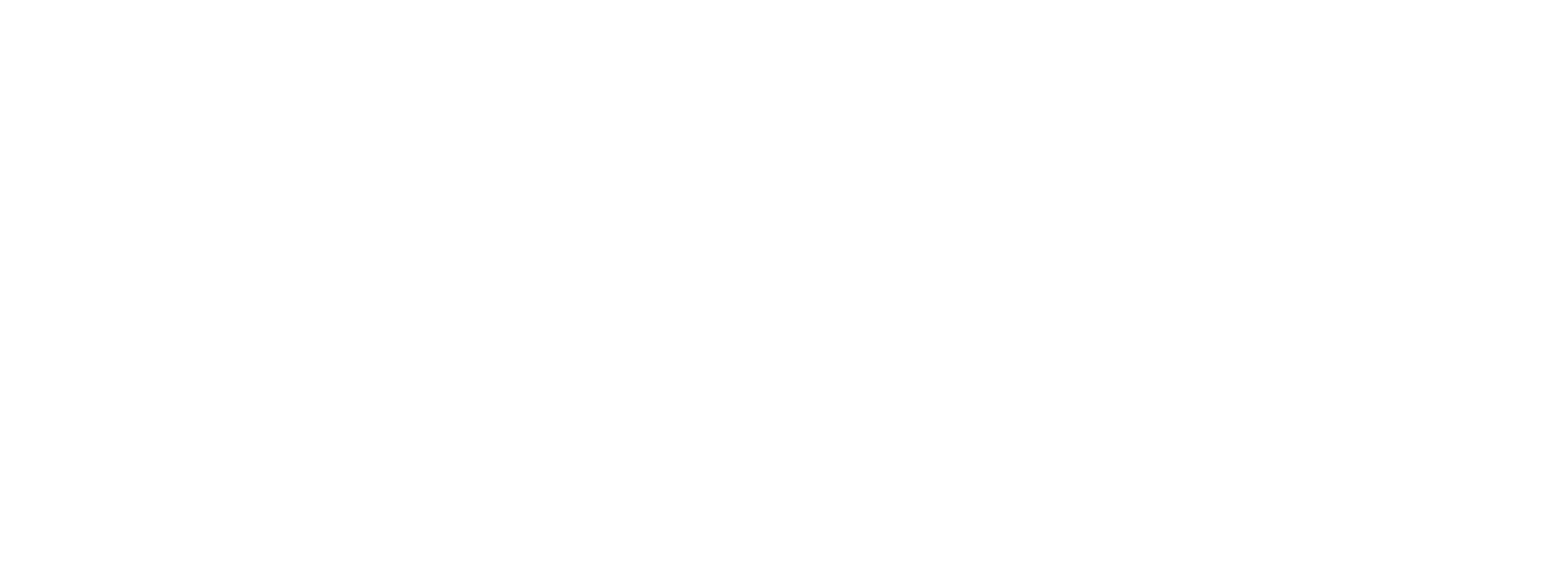 Logo Bolshoi Sport White Basic