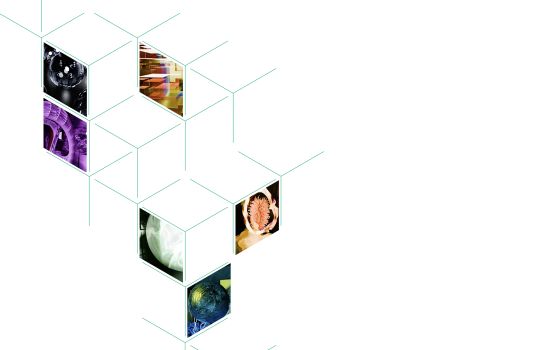 Анализ ситуации: как предпринимателю увидеть реальность и определить следующий шаг