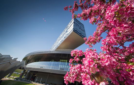 Торжественная церемония вручения дипломов Школы управления СКОЛКОВО