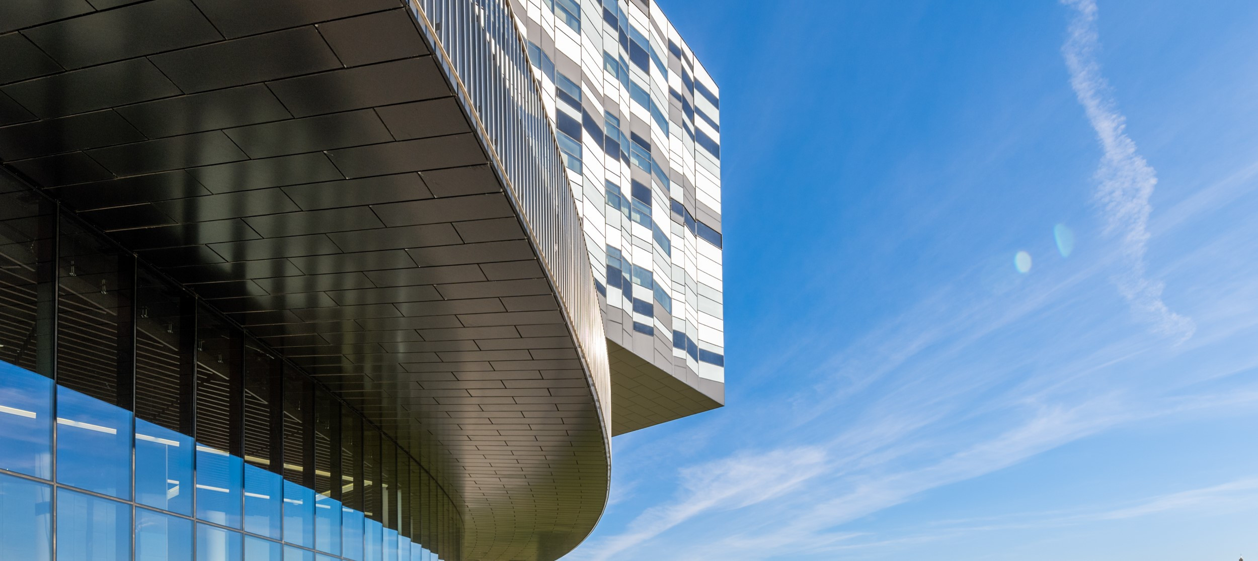 Бизнес-бакалавриат СКОЛКОВО