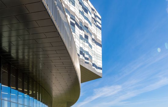 Бизнес-бакалавриат СКОЛКОВО