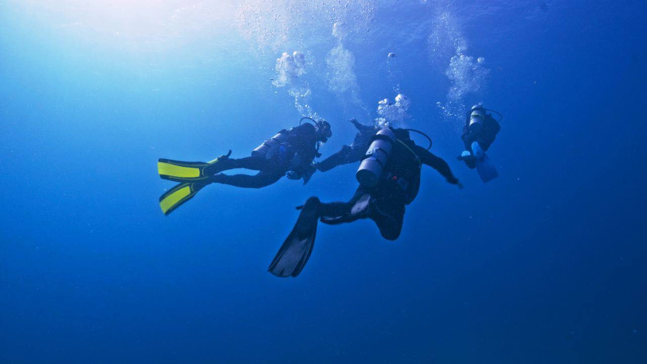 Дайвинг в море