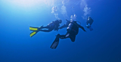 Дайвинг в море