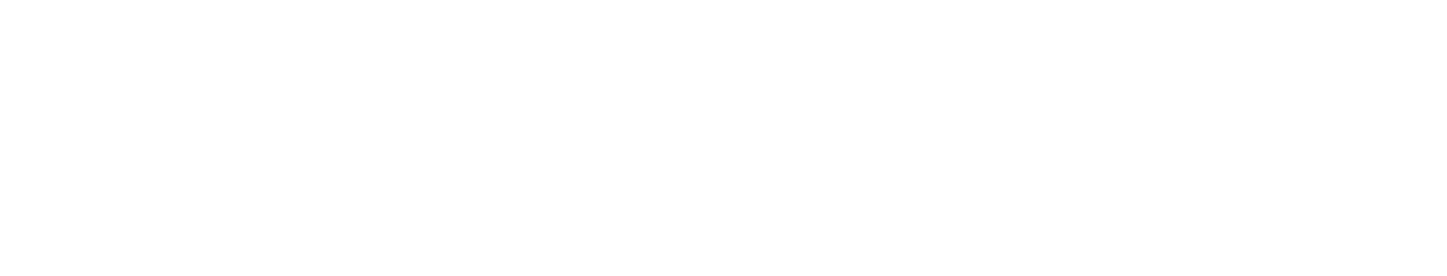 Scb Logo White