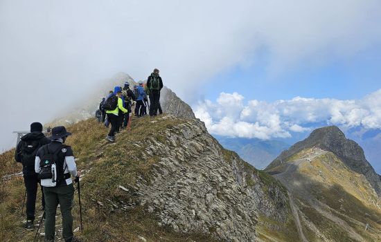 «Воля и представление» в управленческих практиках