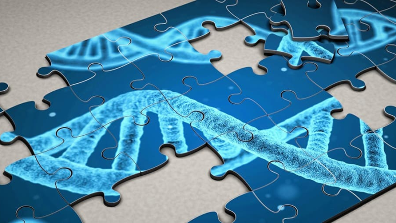 179a6d73db669da237842ab0412c4c1c