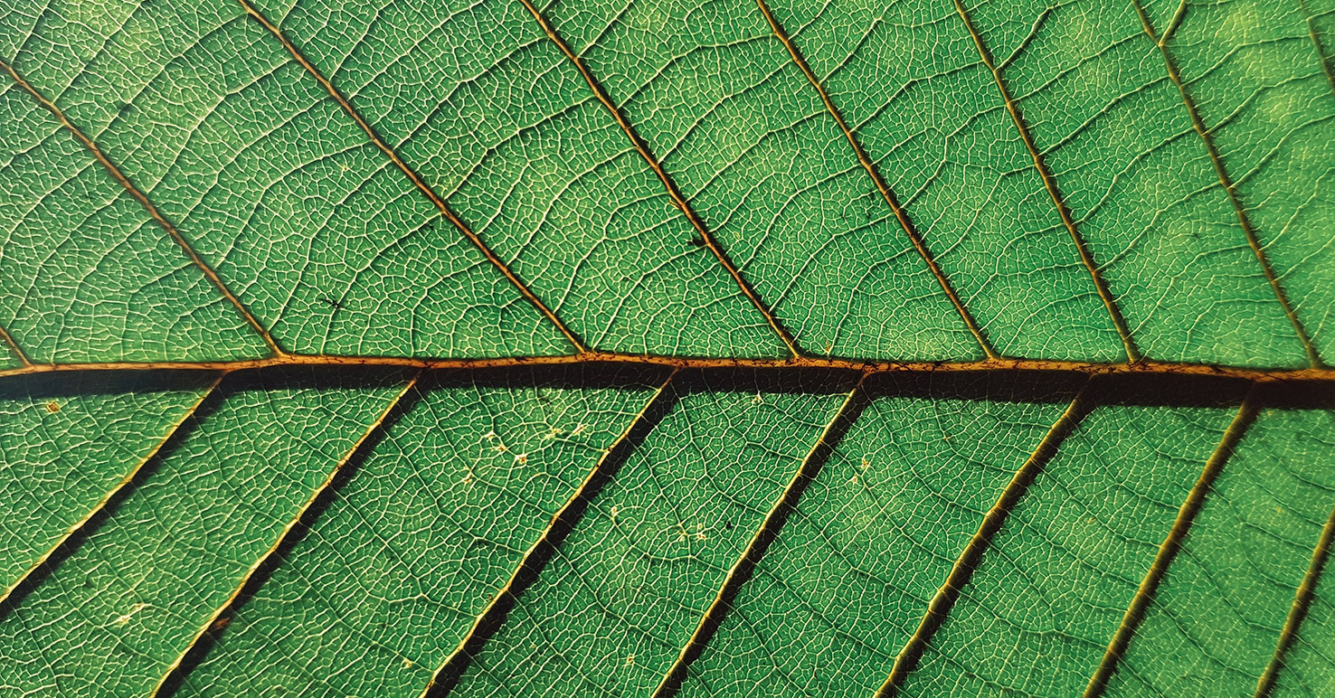 Управление инновациями в лесопромышленном комплексе