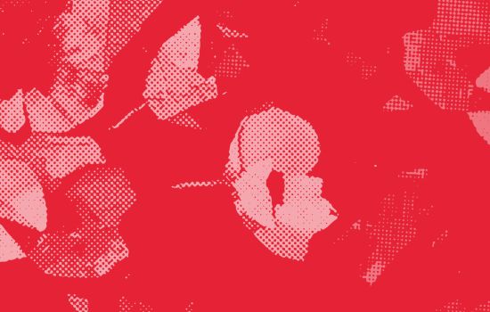 FLOW: Female Leaders Opportunities and Wholeness