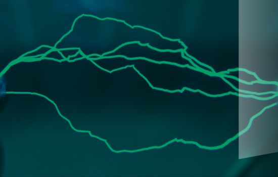 Партнерство как новая модель управления: в будущее возьмут не всех