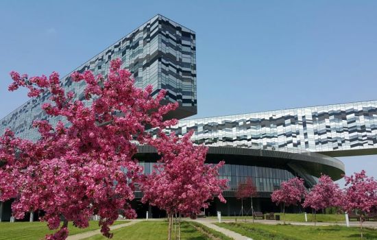 День открытых дверей: образование для родителей и подростков