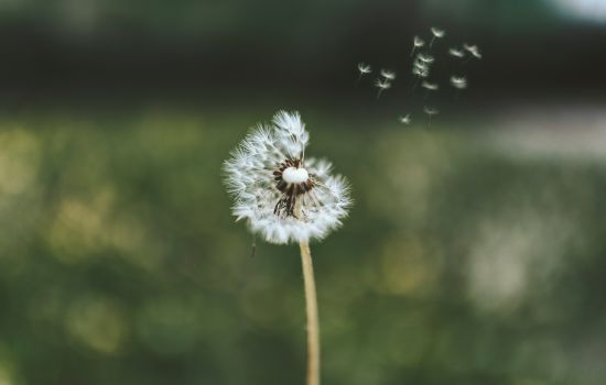 Зачем бизнесу сейчас сохранять и развивать ESG-проекты