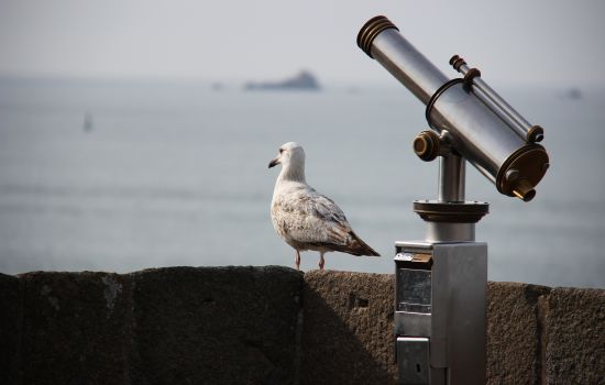 Опыт стран под санкциями: чему нам предстоит научиться