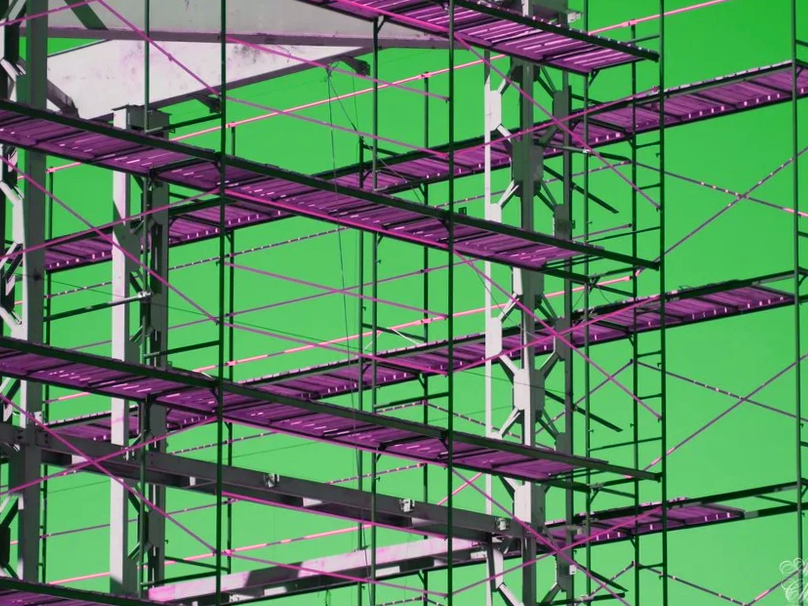 Как культура открывает бизнесу новые возможности?