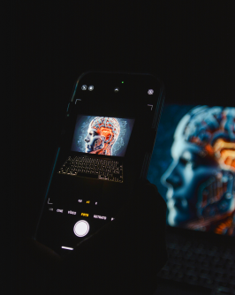 Aidin Geranrekab Bv P23fxxhi Unsplash