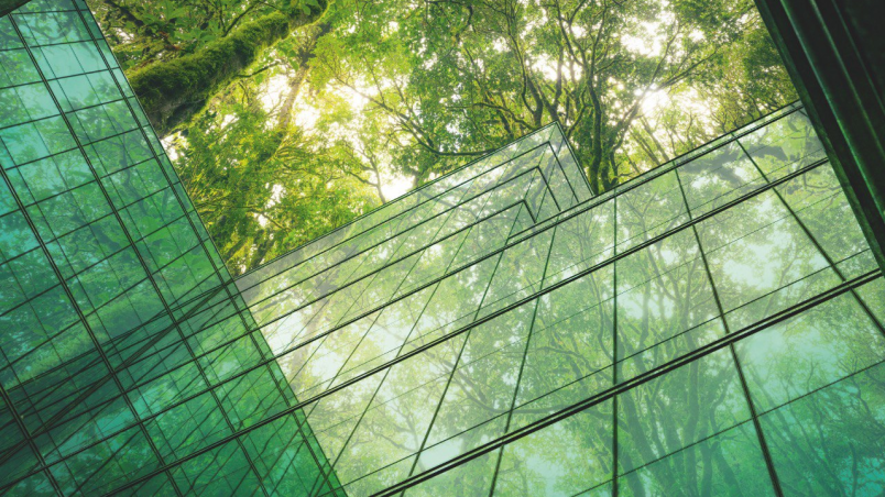 Photo 2025 06 05 11 14 39