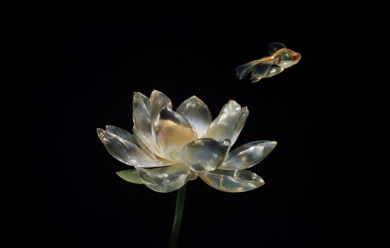 Предпринимательский АПГРЕЙД