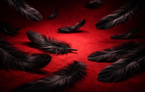 Довольно иллюзий: черный лебедь в красном океане