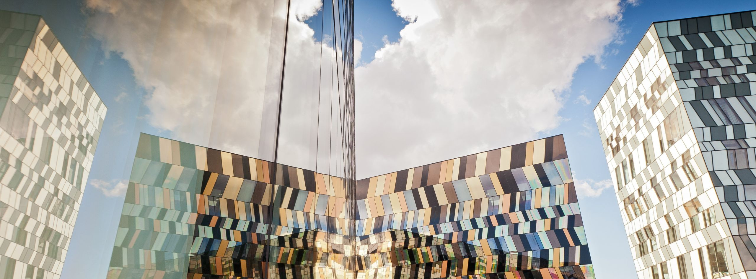 Зачем инвестировать в обучение своих сотрудников и развитие команд?