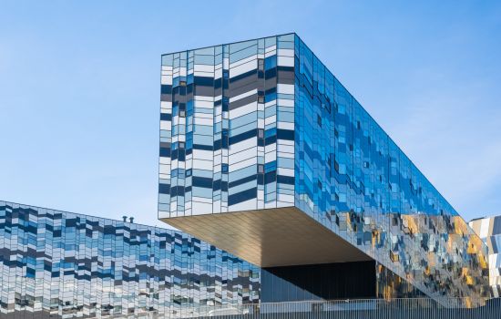 Тренды в современном высшем образовании: критерии выбора программы бакалавриата