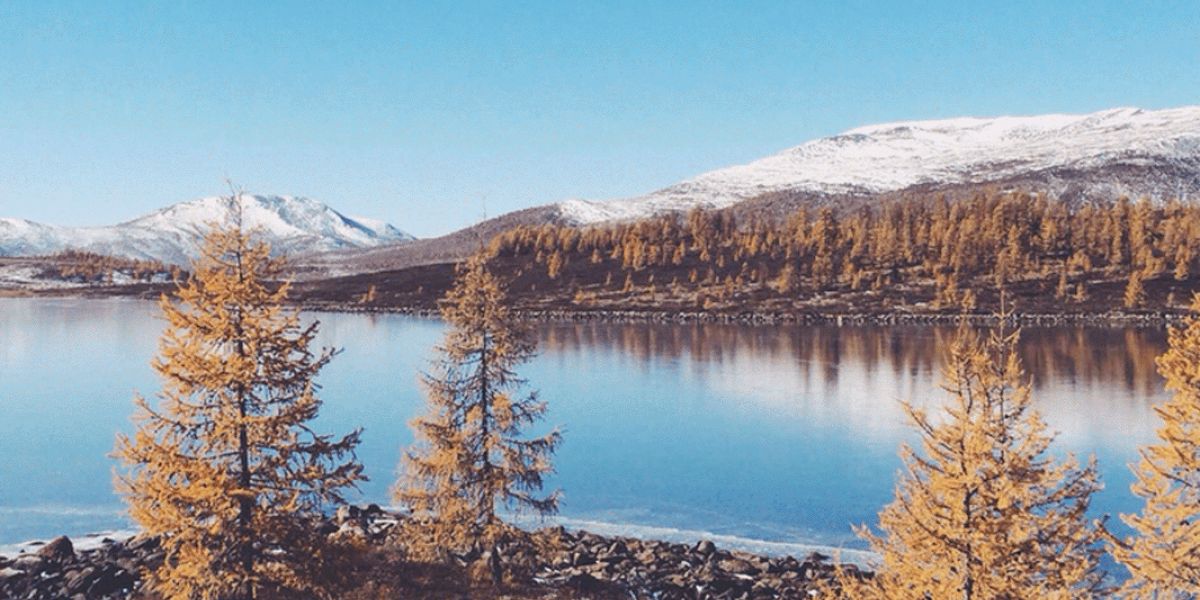 «Родители скрывали от родственников, что я открыла свое дело»: основатель Siberian Wellness Татьяна Гороховская