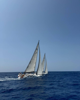 Photo 2024 08 26 10 47 10