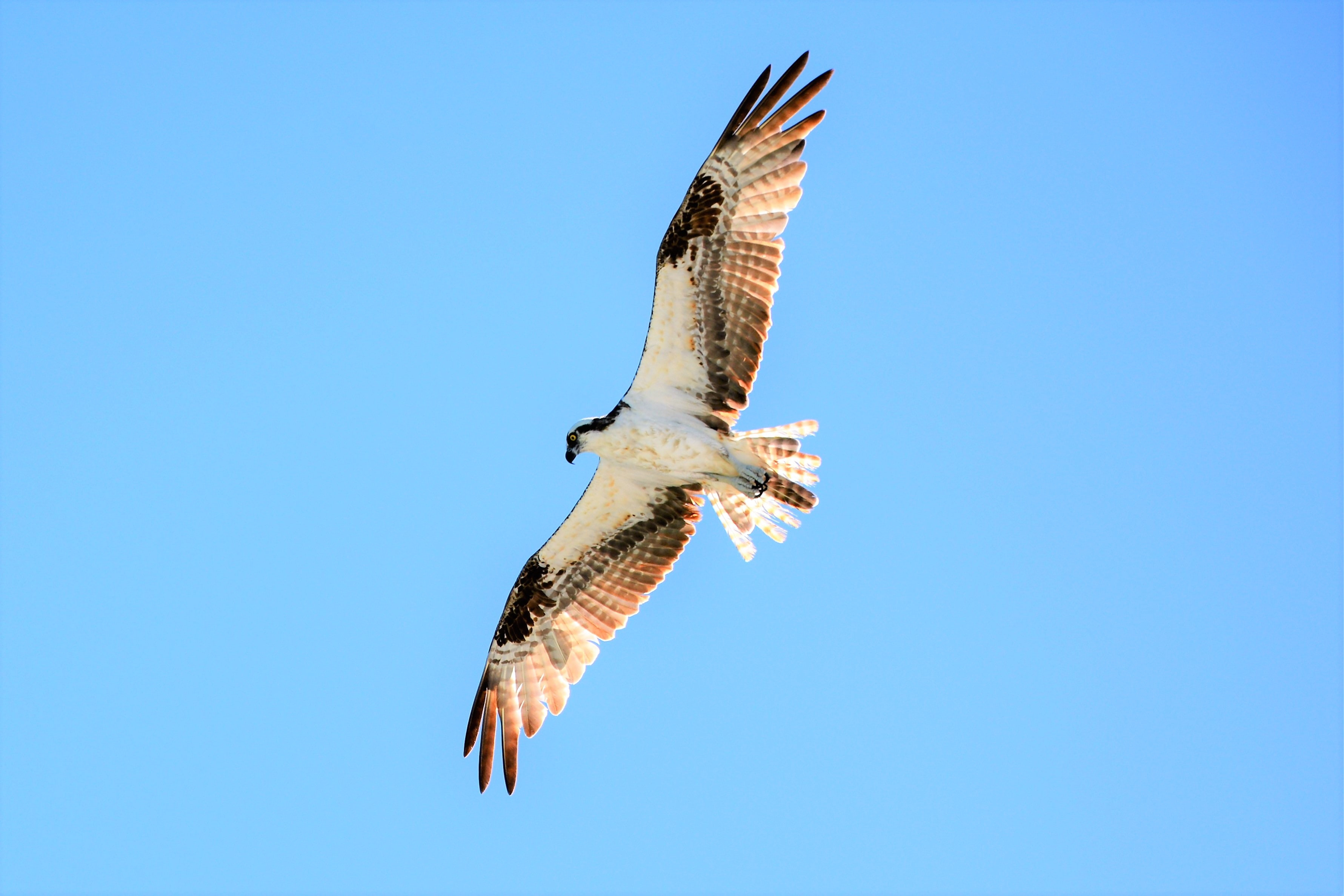 Alex Suter Rgvhyitiaom Unsplash