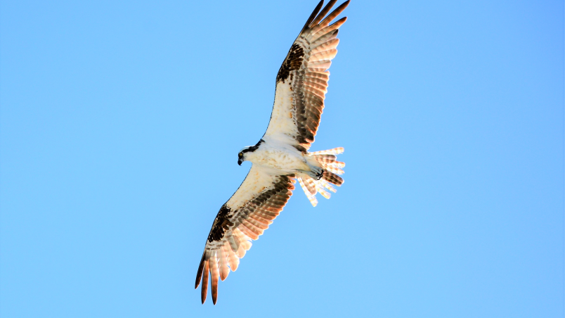 Alex Suter Rgvhyitiaom Unsplash