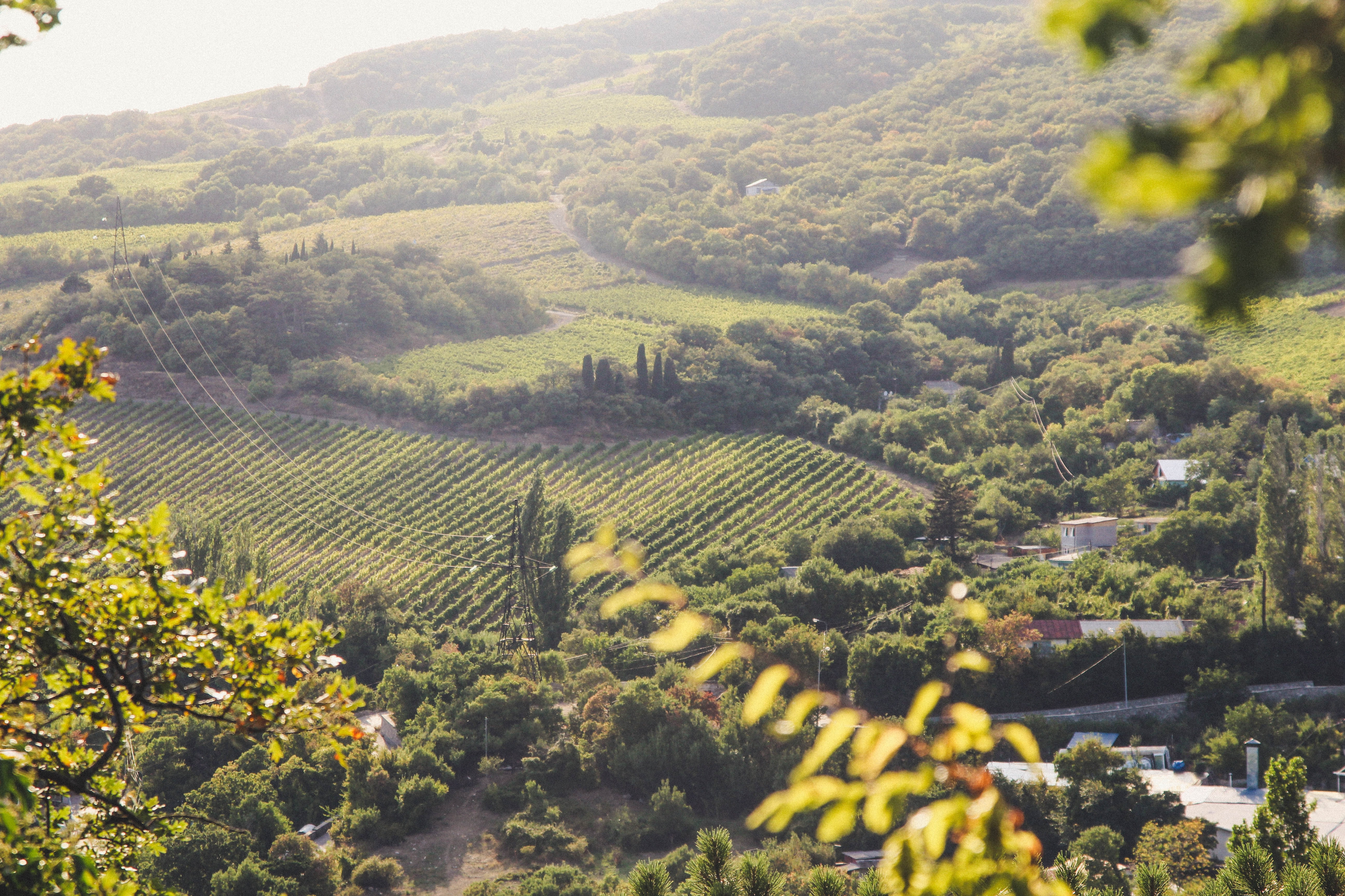 Культура партнерства. Бизнес по любви