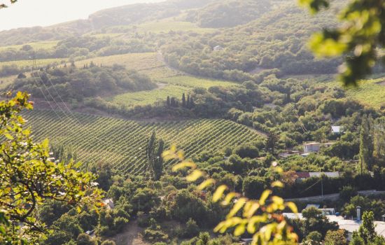 Культура партнерства. Бизнес по любви