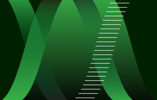 Конкурс грантов на программу «Стартап Академия»