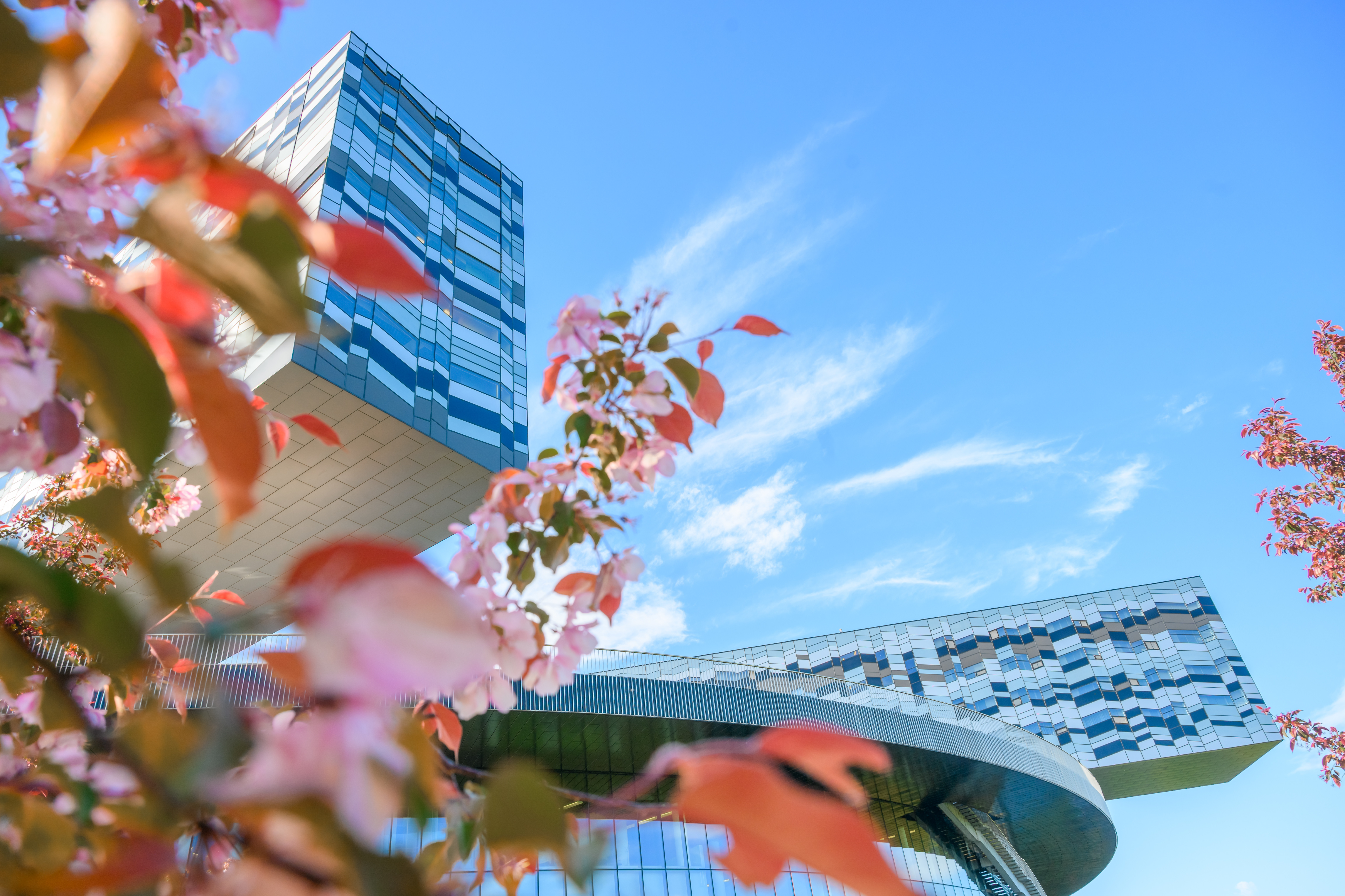 Возвращение промышленной политики: что это значит для бизнеса?