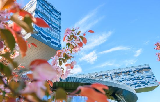 Возвращение промышленной политики: что это значит для бизнеса?