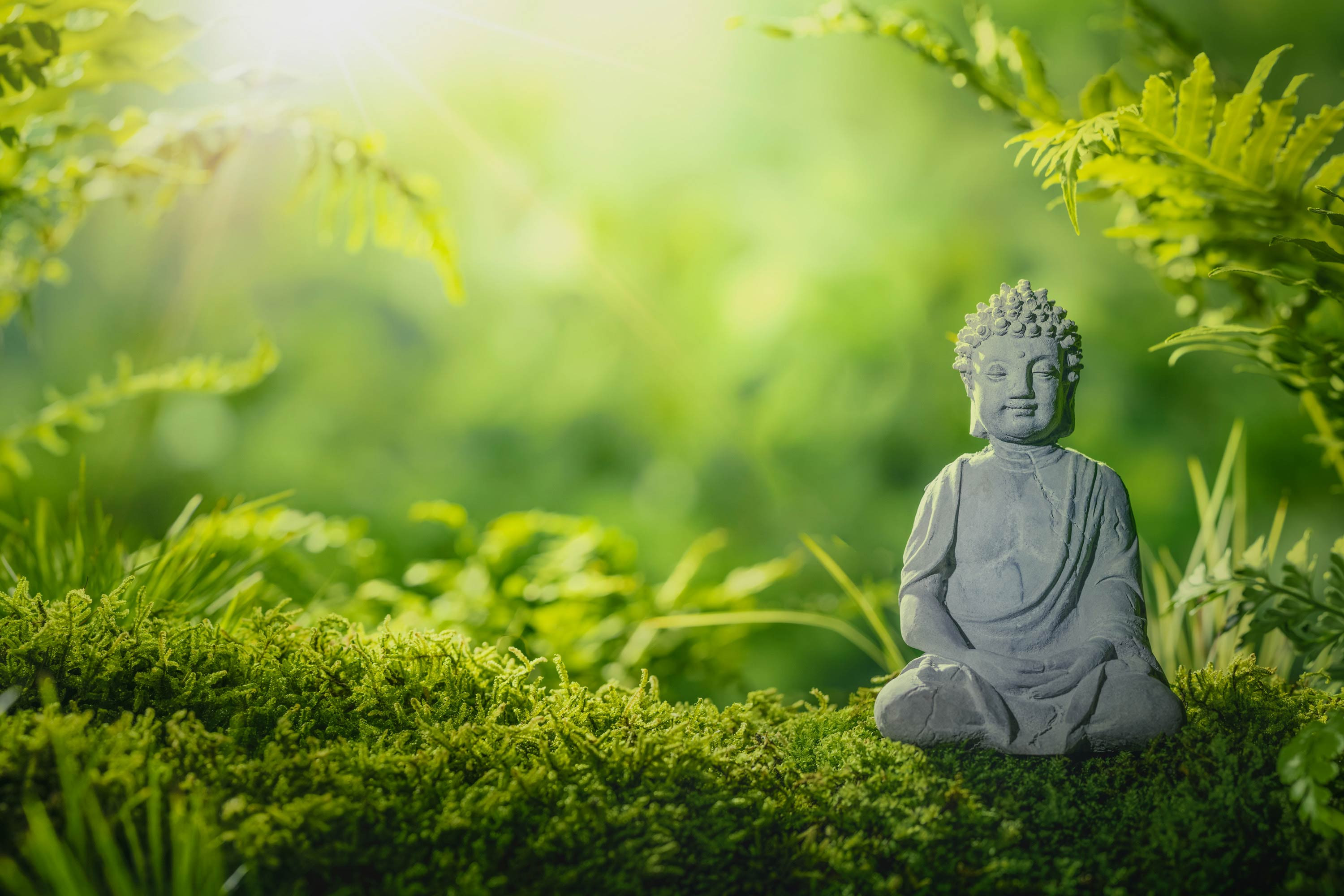 Управление в цифровом мире