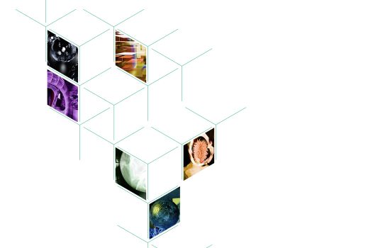 Когда бизнесу нужна пересборка?