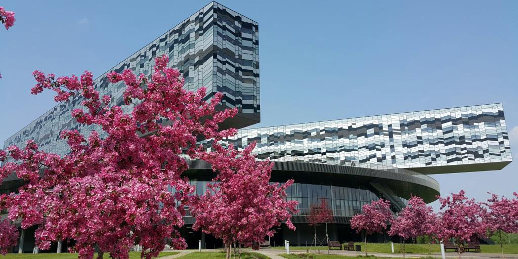 Университет будущего. Позиционирование и маркетинг университета