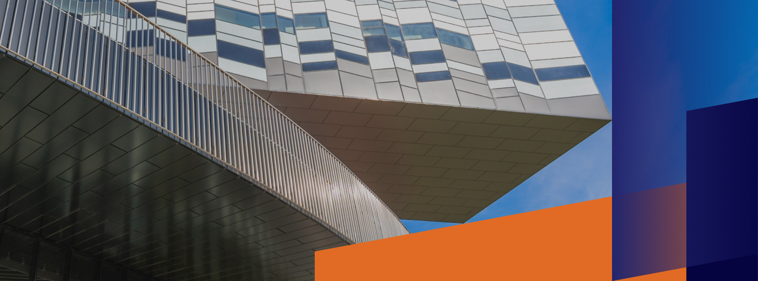 Бизнес-бакалавриат СКОЛКОВО и МФТИ