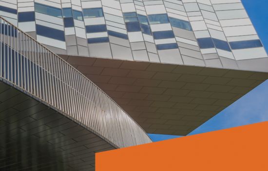 Бизнес-бакалавриат СКОЛКОВО и МФТИ