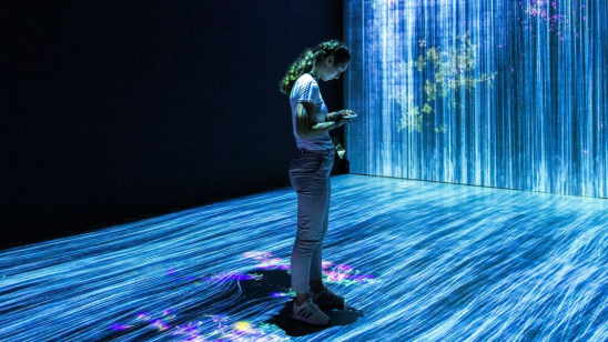 Mahdis Mousavi Hj5umirng5k Unsplash